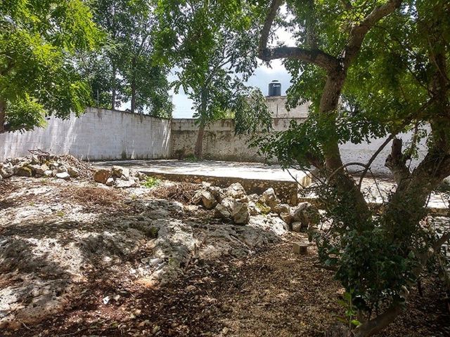 place photo 6