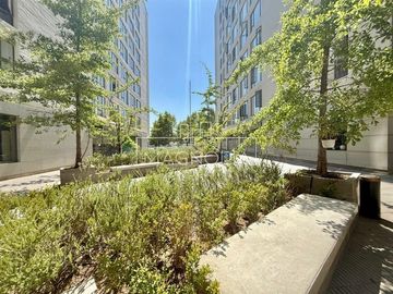 place photo 26