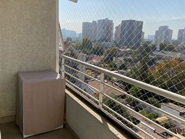 place photo 29