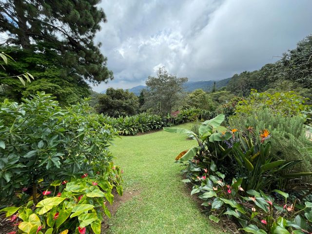 place photo 24
