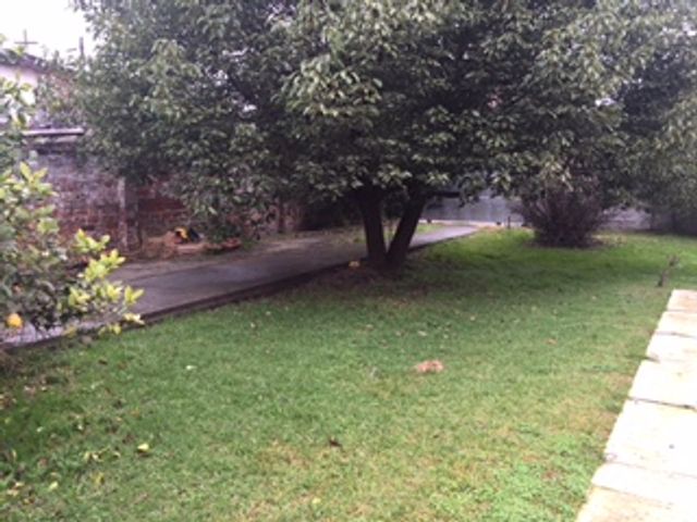 place photo 54