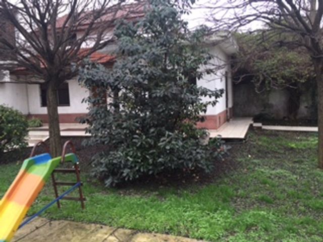 place photo 55