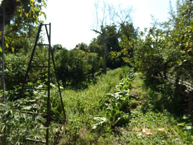 place photo 38