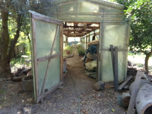 place photo 40
