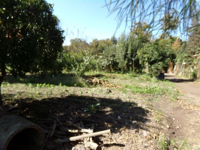 place photo 41