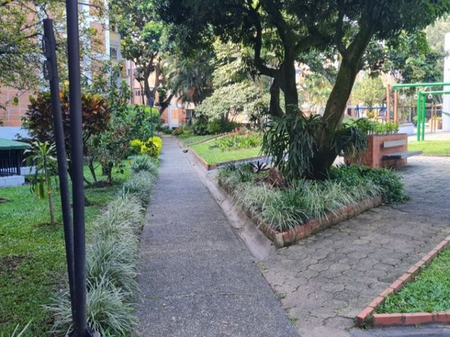 place photo 15