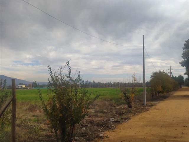 place photo 46