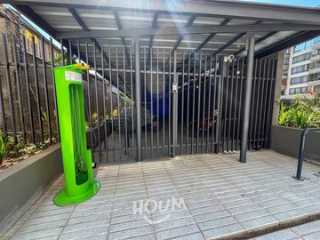place photo 30