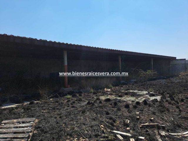 place photo 25