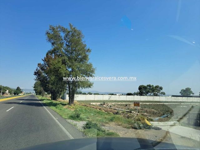 place photo 27