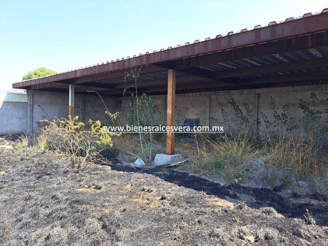 place photo 20