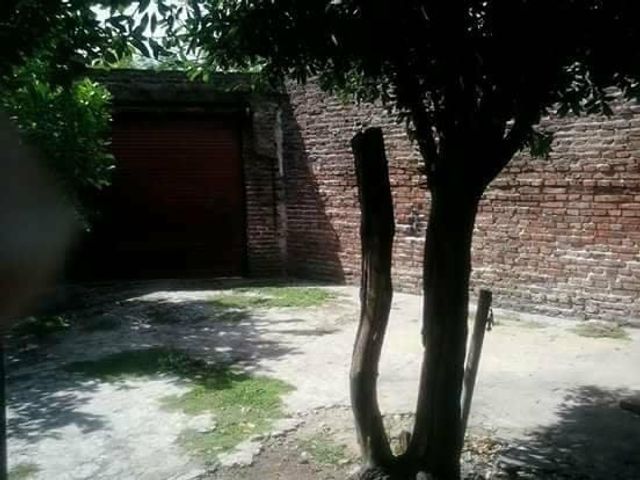 place photo 10
