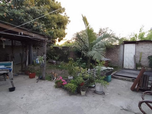 place photo 20