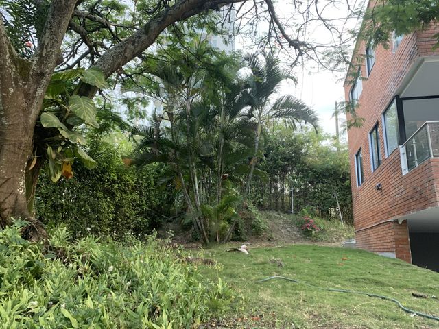 place photo 22