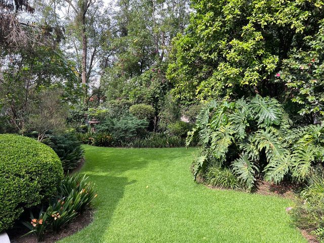 place photo 28