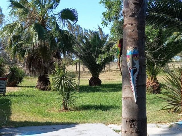 place photo 35