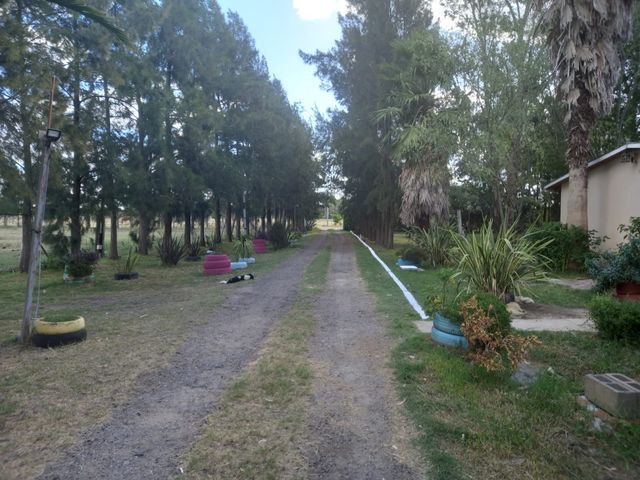 place photo 44