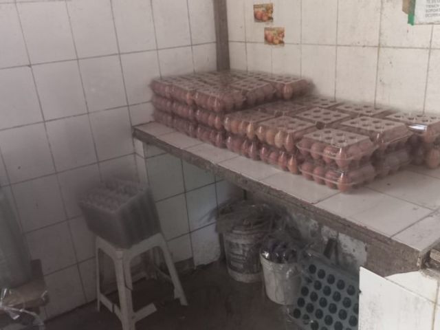 place photo 25