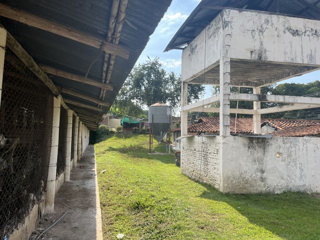 place photo 28