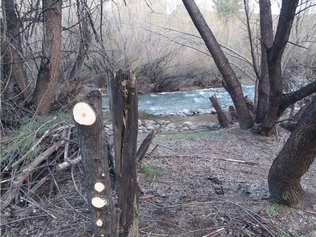 place photo 31