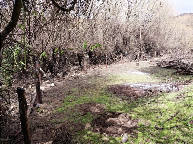 place photo 30