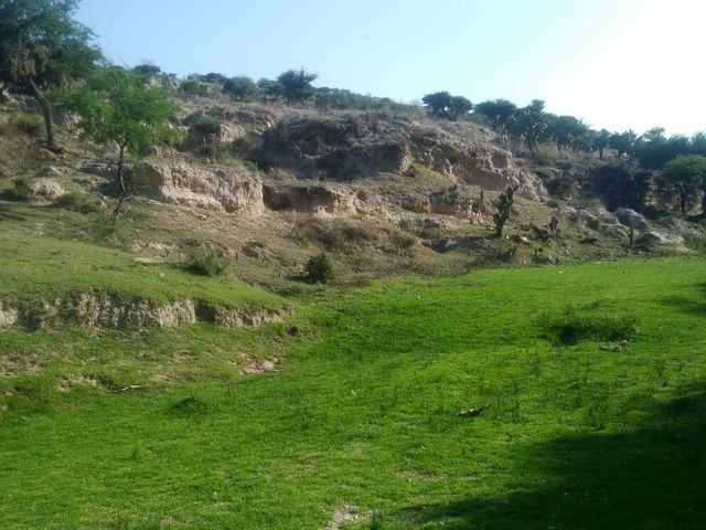 place photo 6