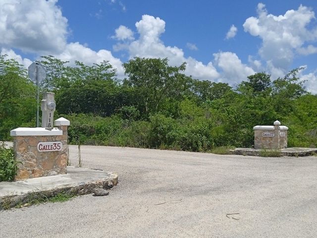 place photo 24