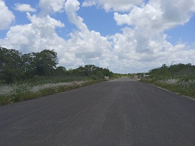 place photo 28