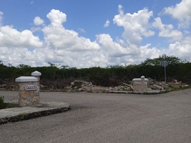 place photo 26