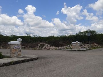 place photo 26