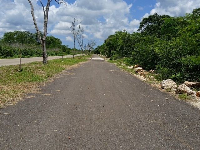 place photo 21