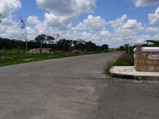 place photo 29
