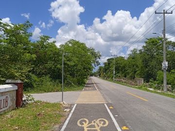 place photo 30