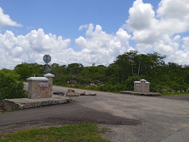 place photo 20