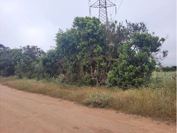 place photo 14