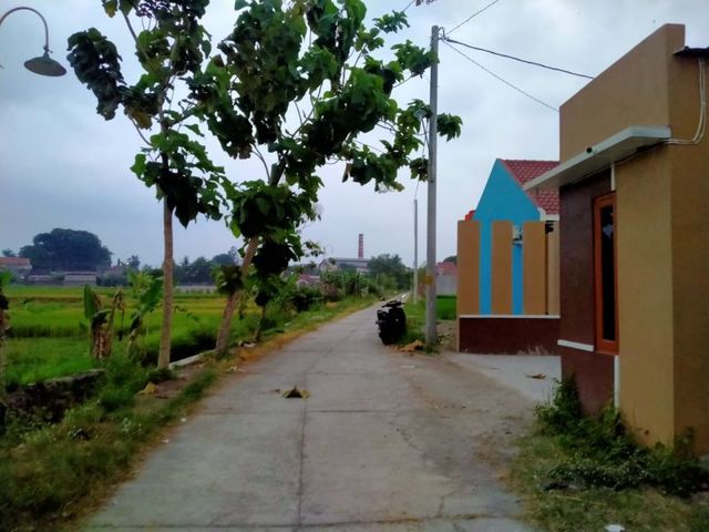 place photo 6