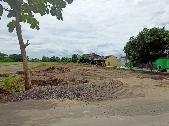 place photo 6