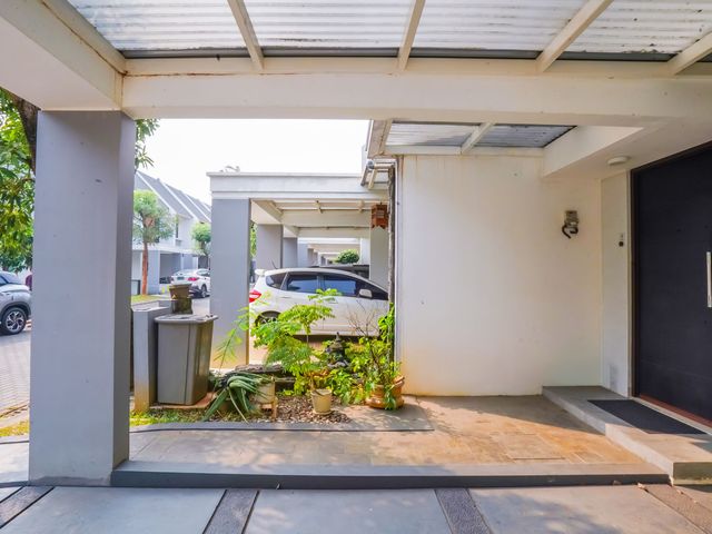 place photo 36