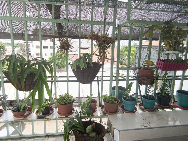 place photo 27