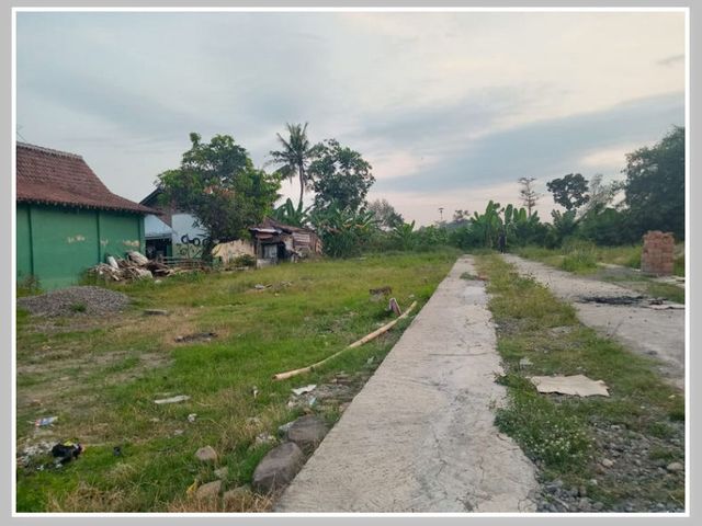 place photo 4