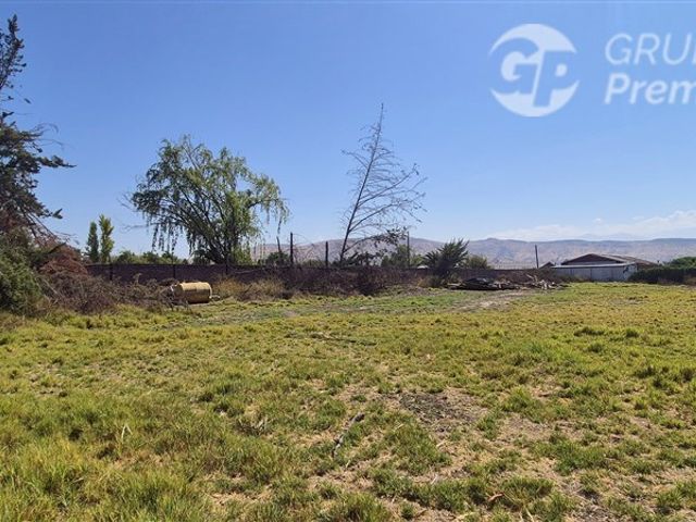 place photo 37