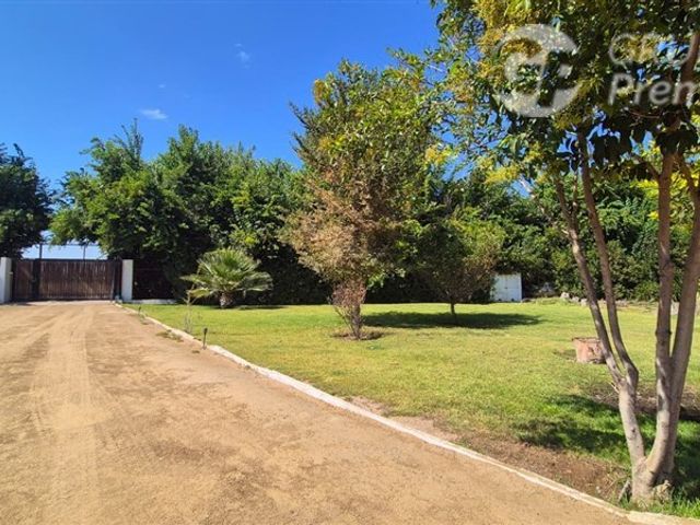 place photo 53