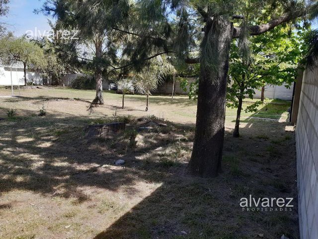 place photo 28