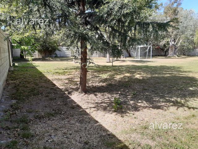 place photo 29