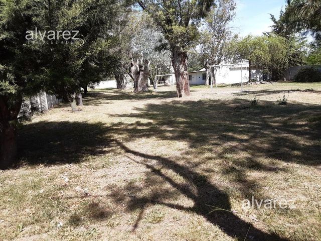 place photo 30