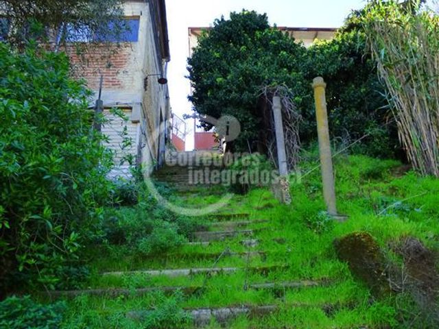 place photo 37