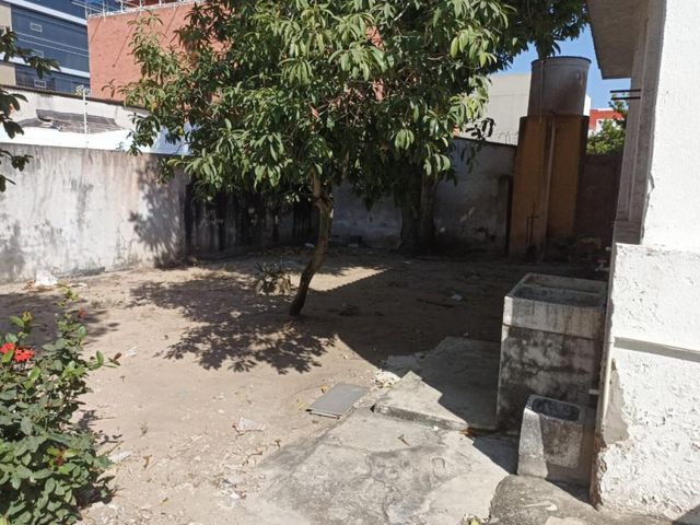 place photo 18
