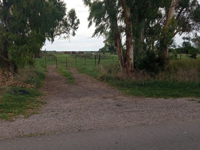 place photo 3
