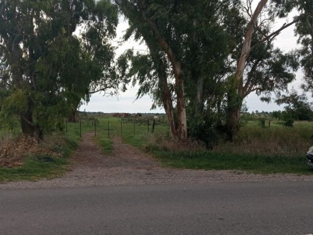 place photo 2