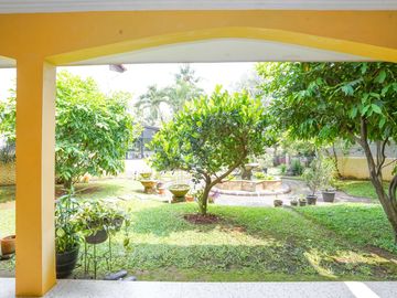 place photo 61